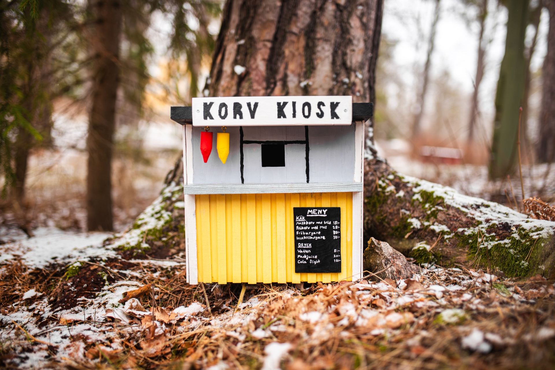 Vinnarna i SM i fågelholk 2025