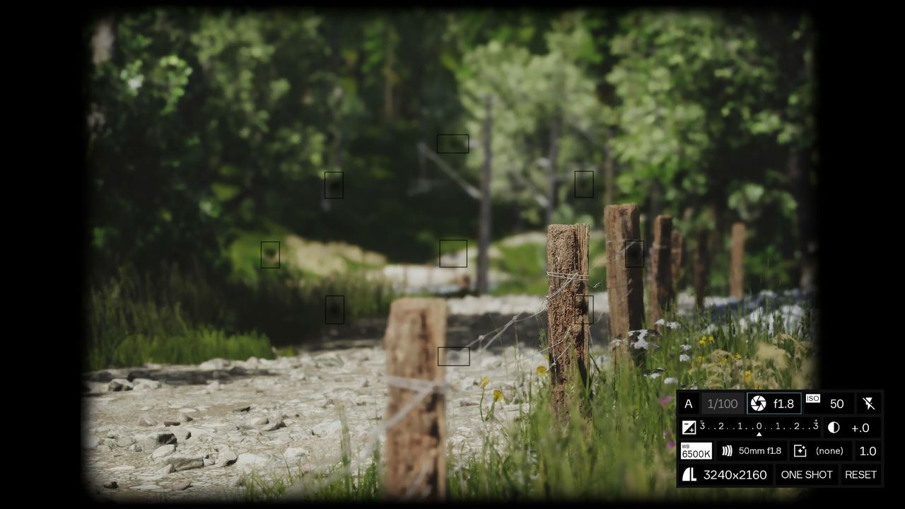 Nu släpps Lushfoil Photography Sim