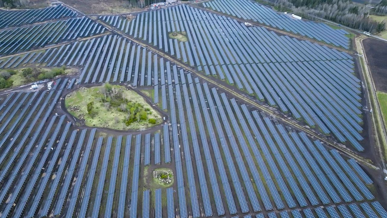 Sveriges största solcellspark invigd