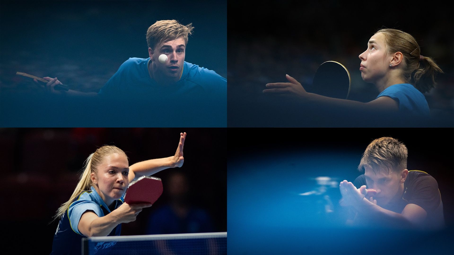 SVT satsar på bordtennis