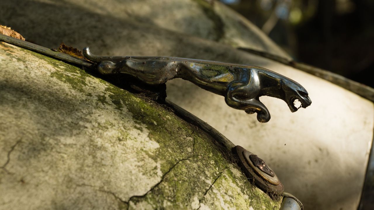 Idag höjs skrotningspremien till 25.000 kronor