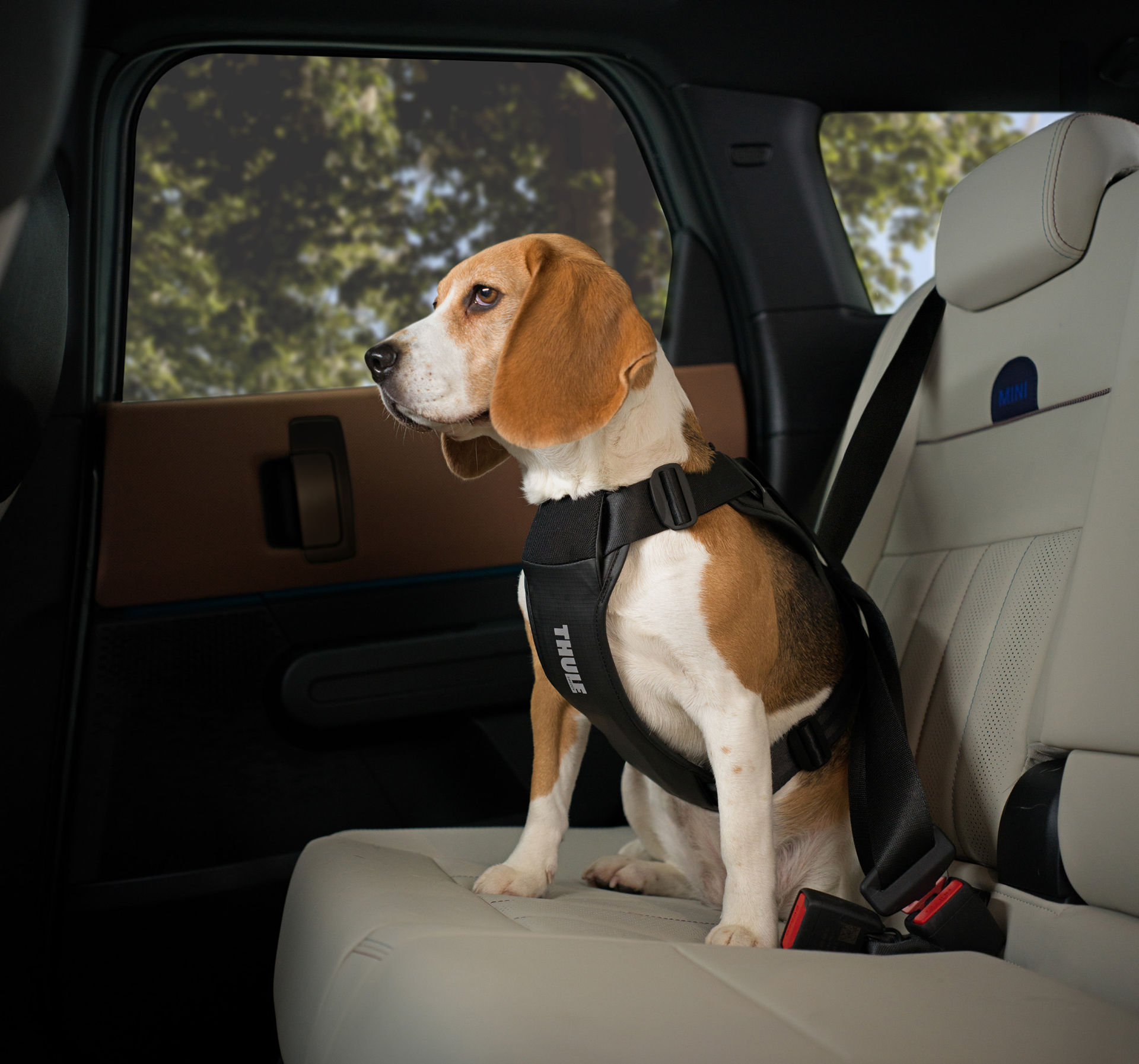 Thule visar sele för hundar