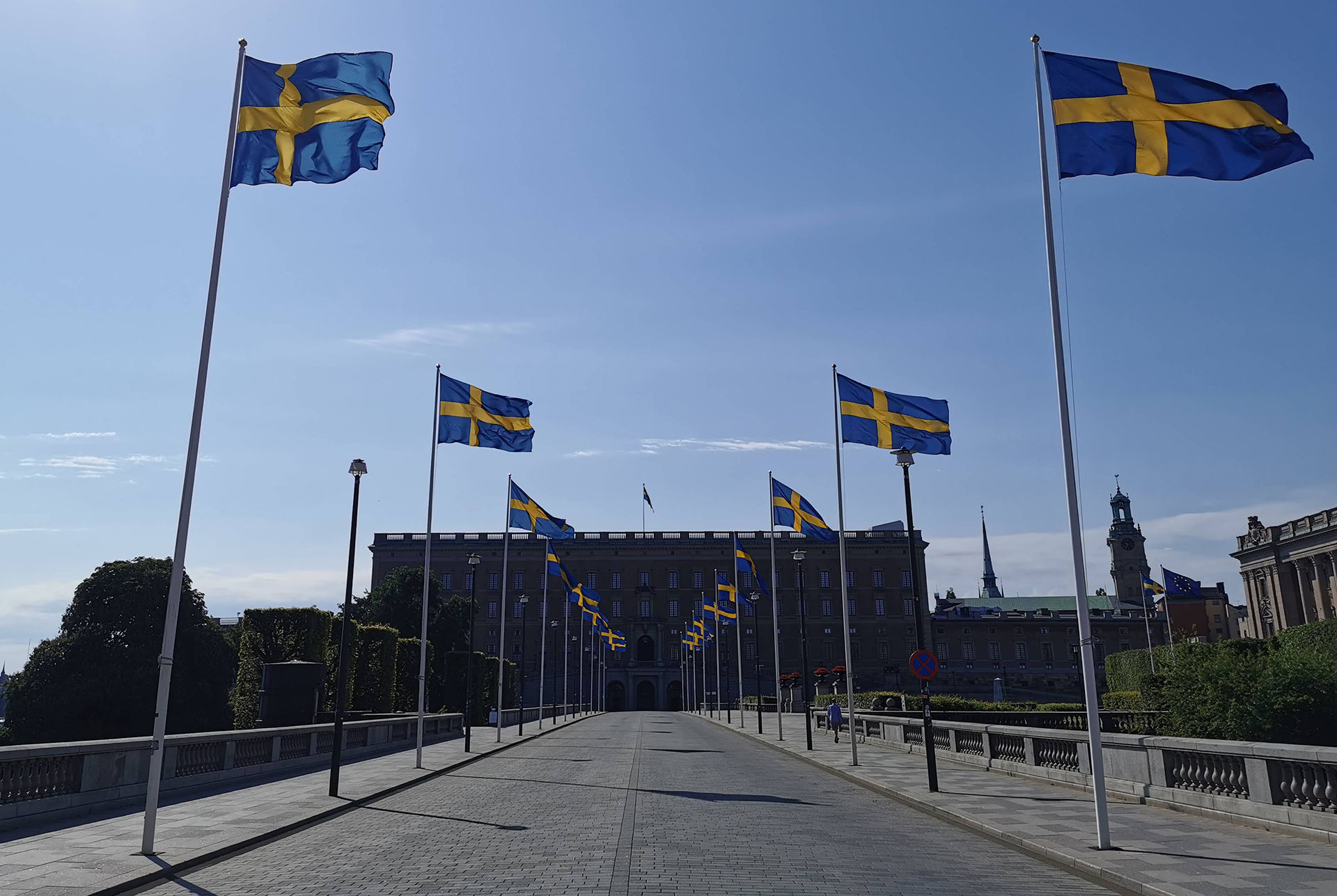 Kommer du att fira Sveriges nationaldag?