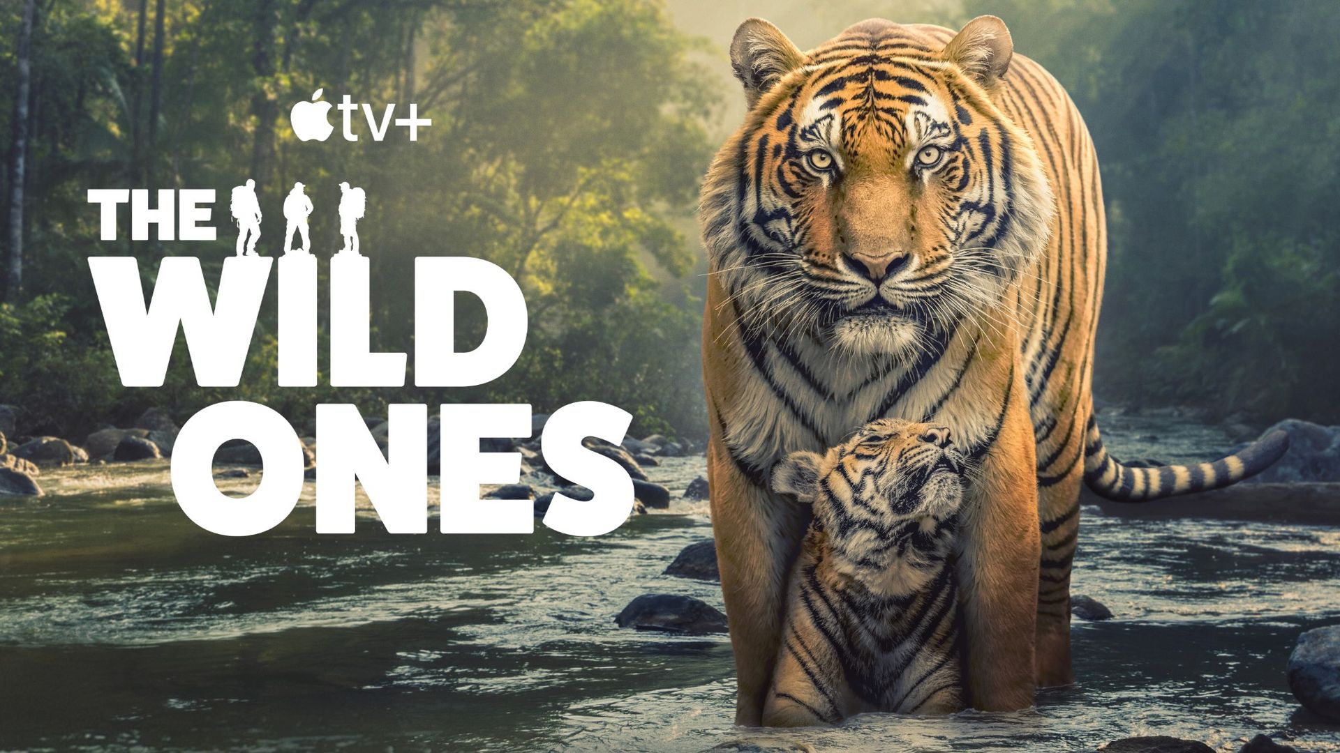 Ny dokumentärserie filmar svåråtkomliga arter