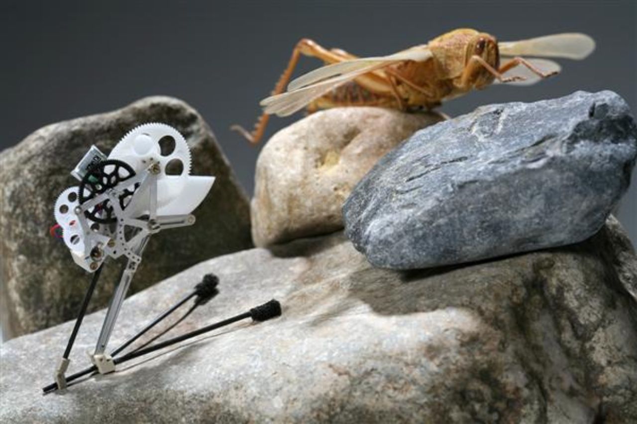 Robot-gräshoppa