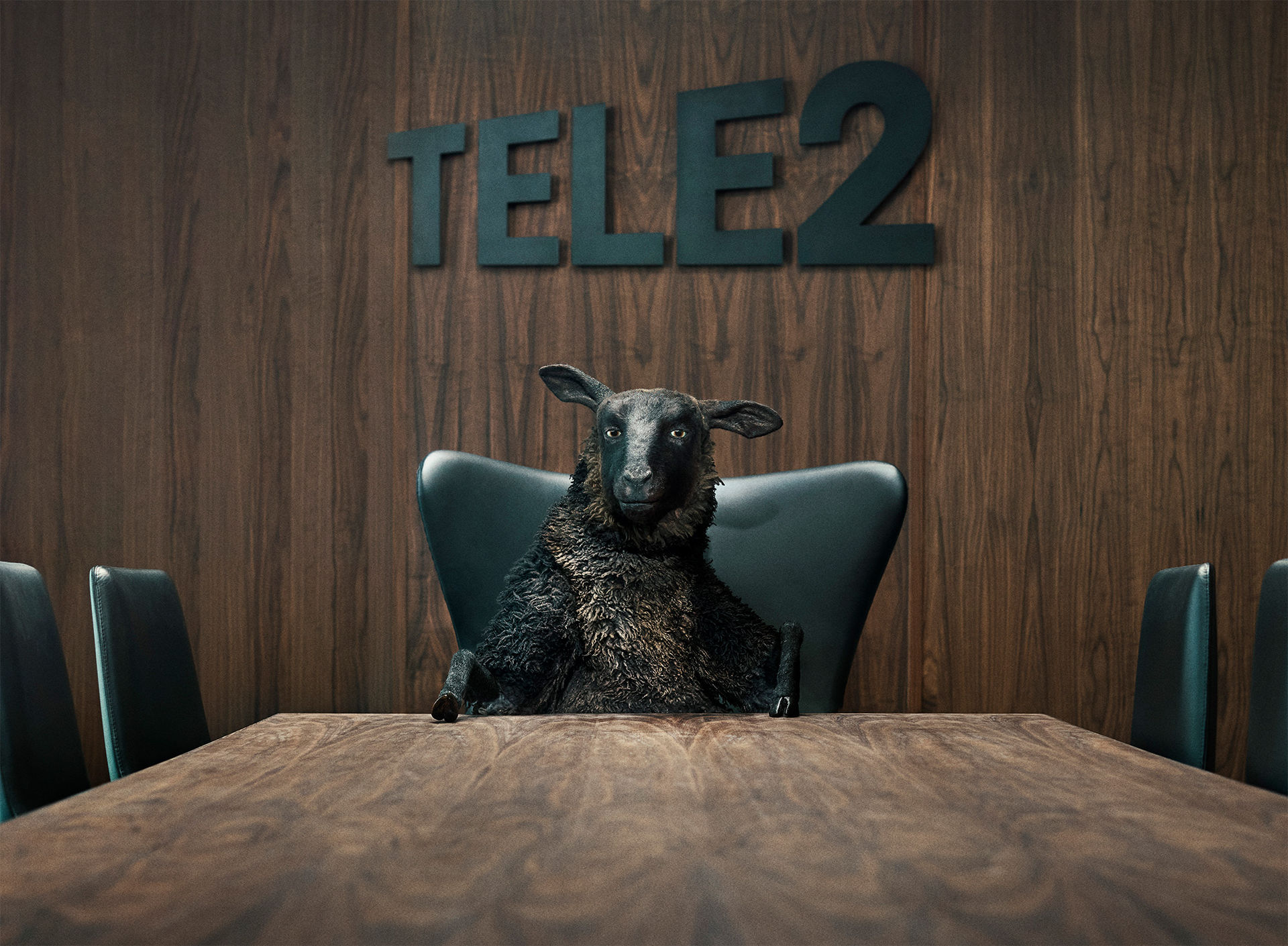 Fåret Frank är tillbaka