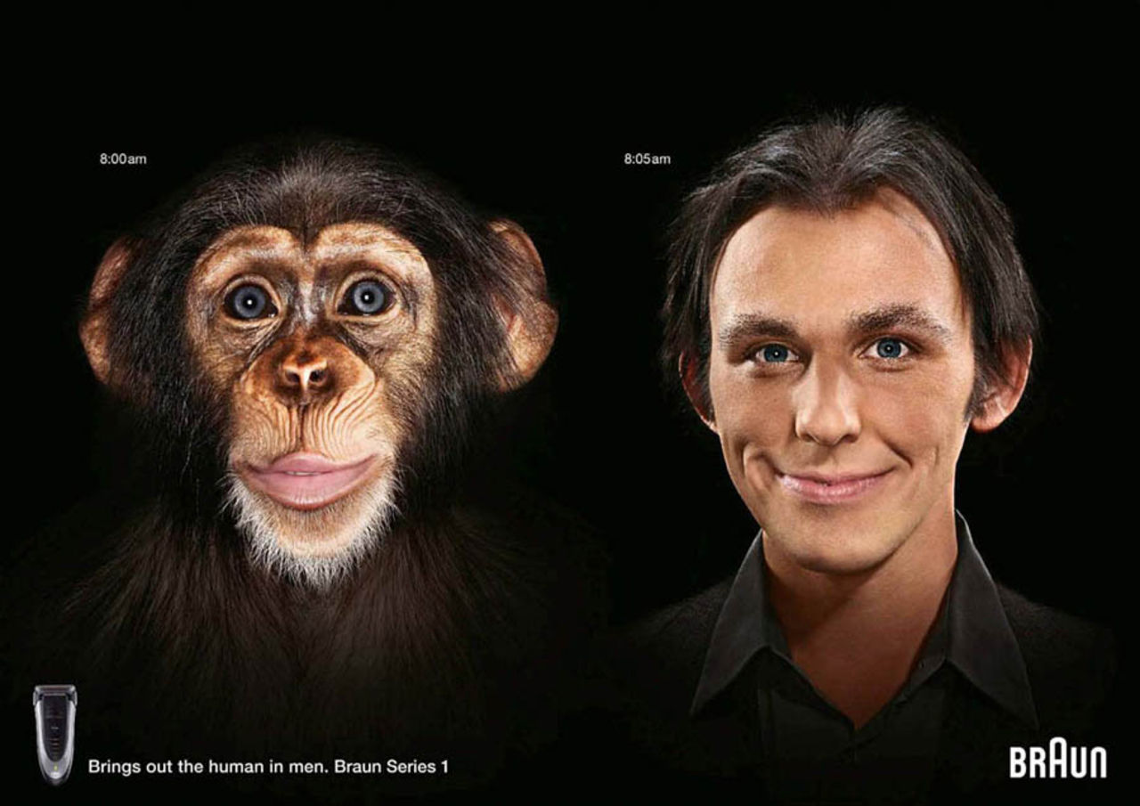 Braun: Evolution