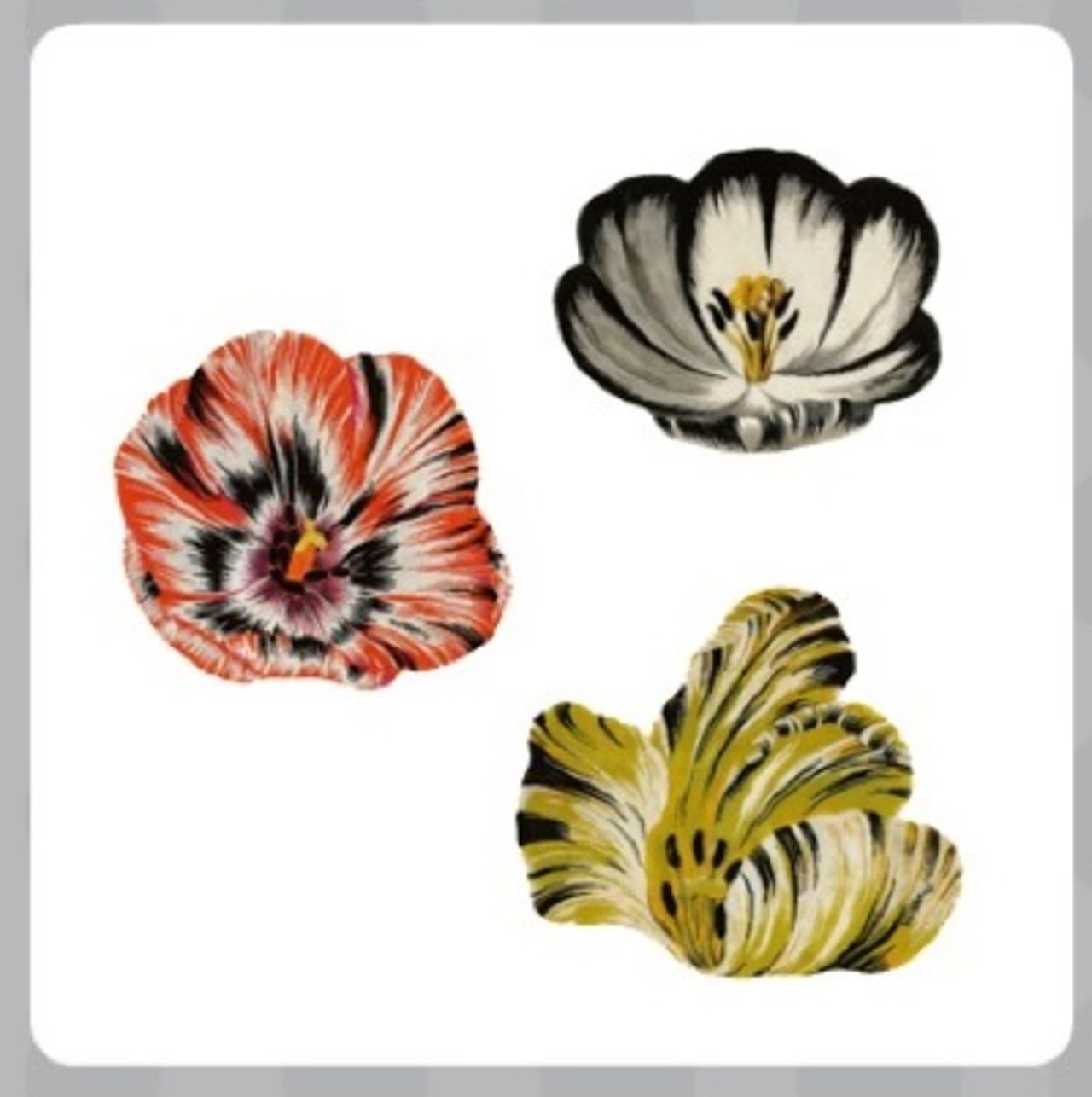 Blomsterkonst på golvet