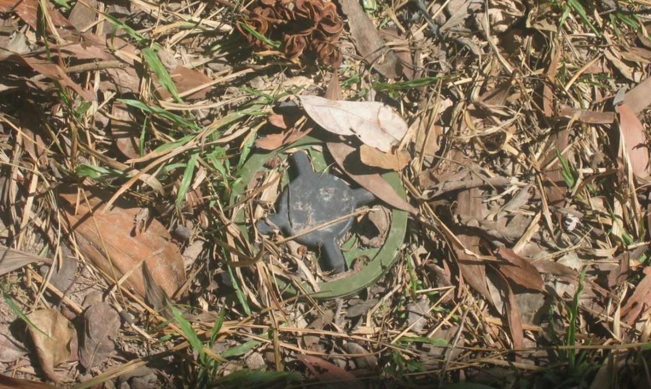 Finland återinför användning av truppminor 