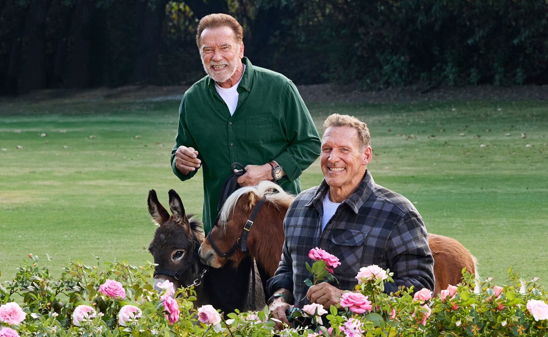 Arnold använder Lidls skruvdragare