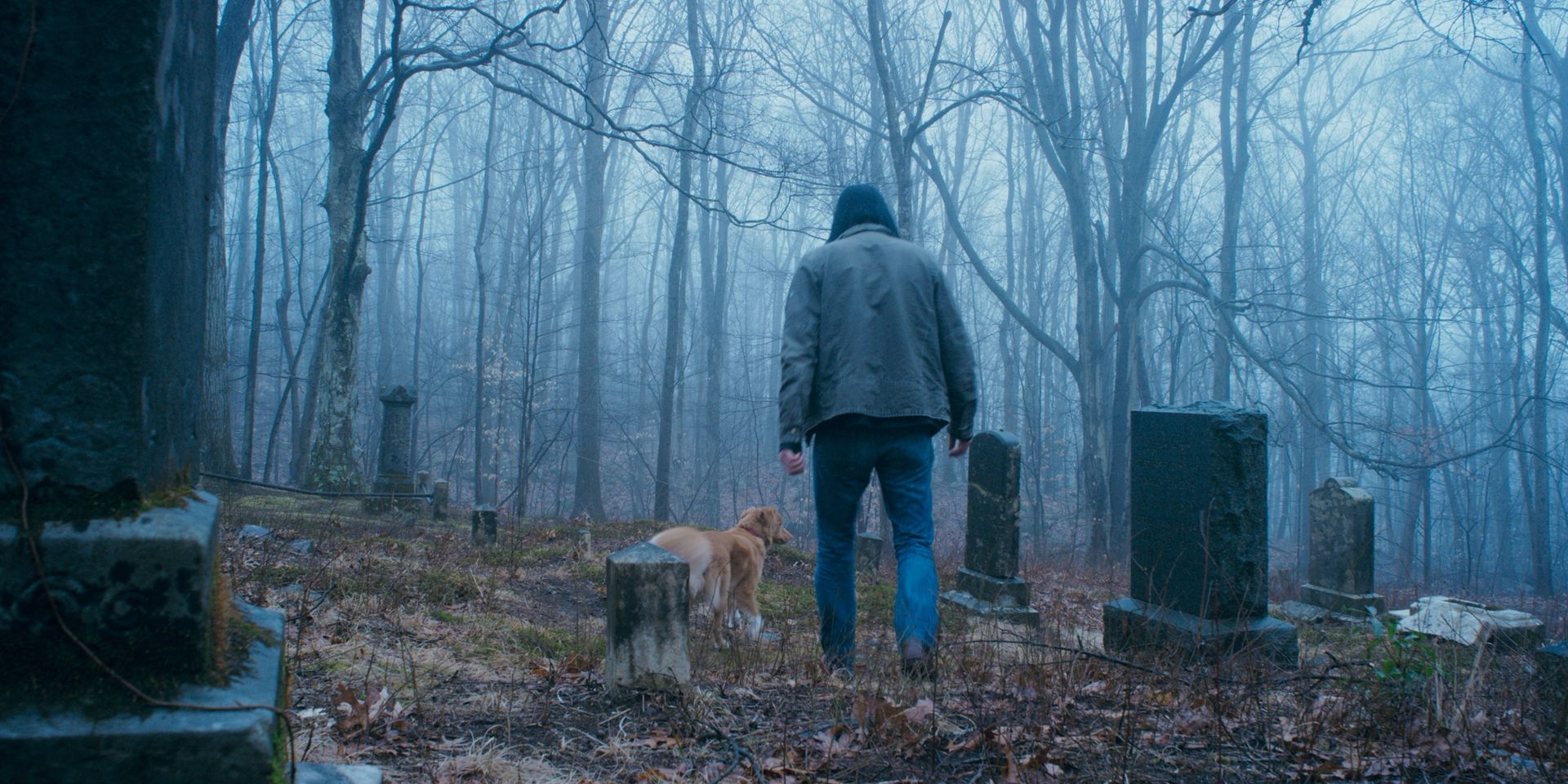 Ny trailer för Good Boy