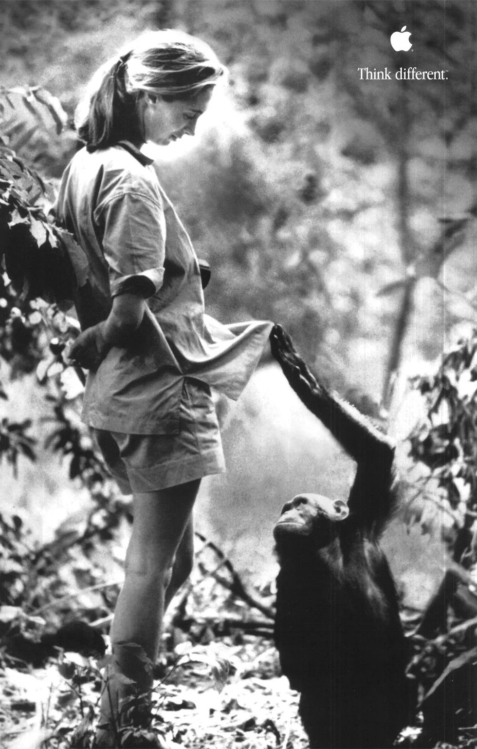 Alla bra historier börjar med ingenting