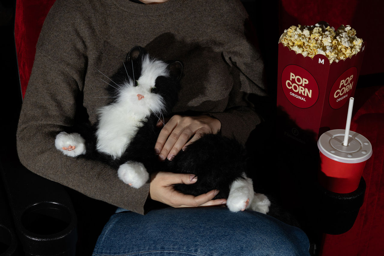 Filmstaden erbjuder robotkatter för skräckfilmen