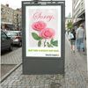 Bild till bildspel