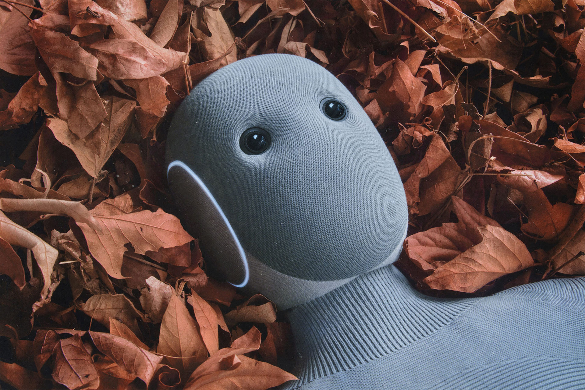 Köp en norsk städare för 20.000 dollar