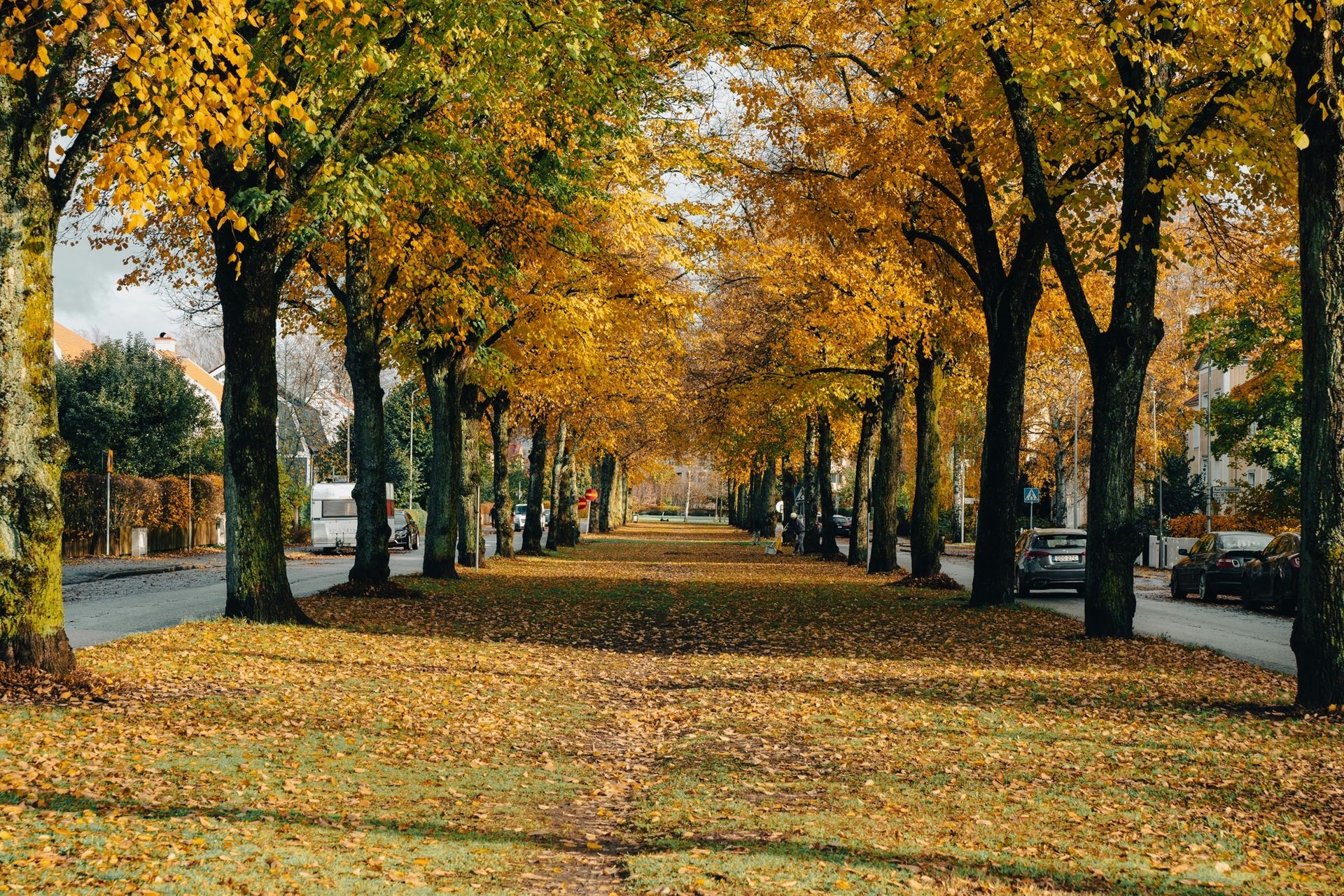 Har du varit på höstlov?