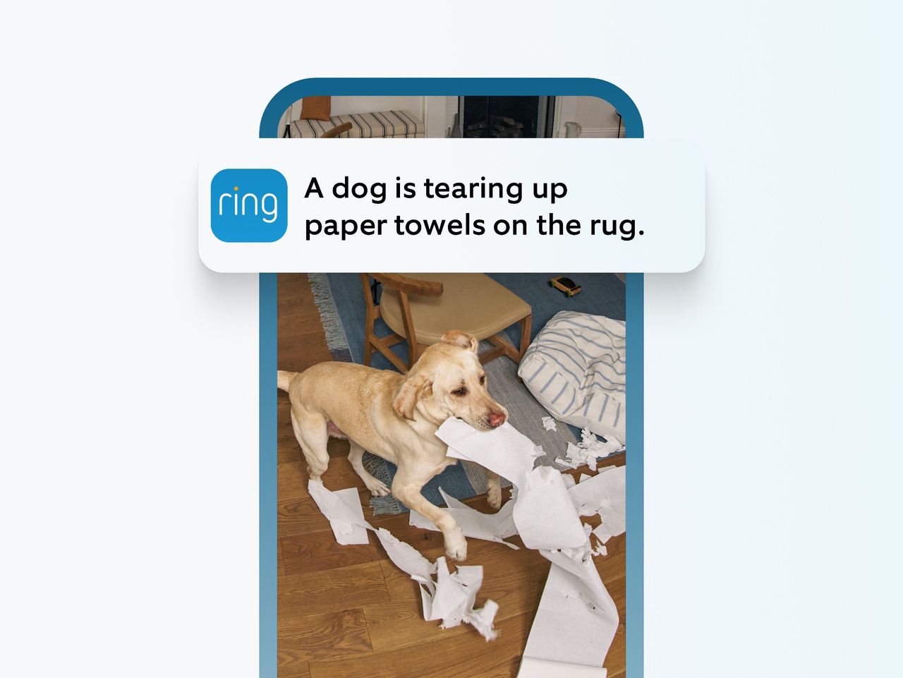 Rings AI ska stoppa onödiga notiser