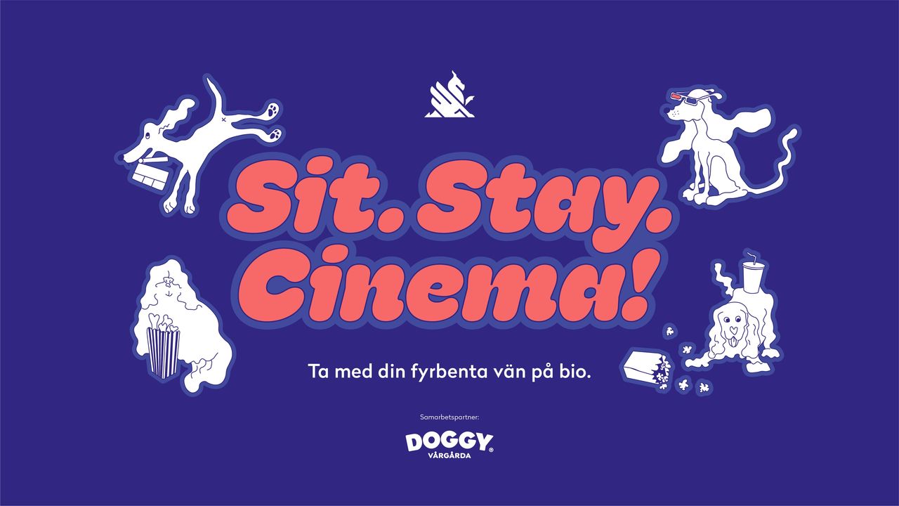 Göteborg Film Festival anordnar hundbio 