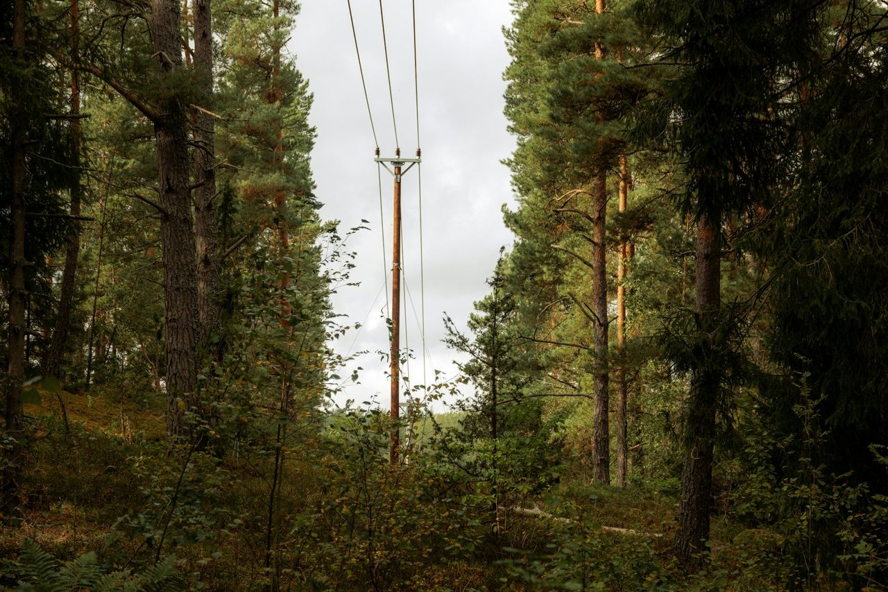 Vattenfall och Ellevio höjer elnätsavgifterna rejält