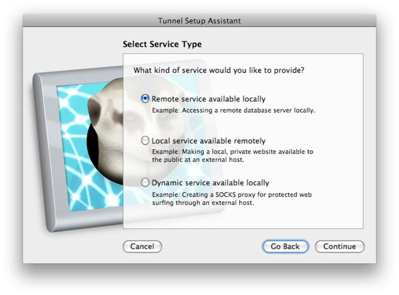 Bygg tunnlar med surikaten