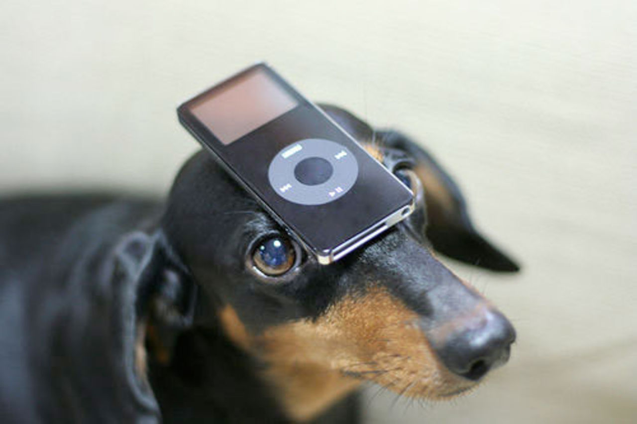 Vill du lära dig Cocoa?