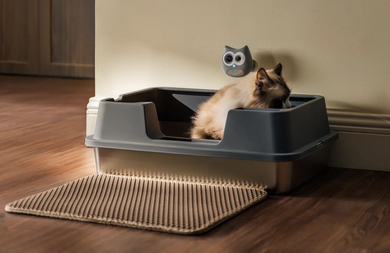 LitterLens är en hälsomanick för katter