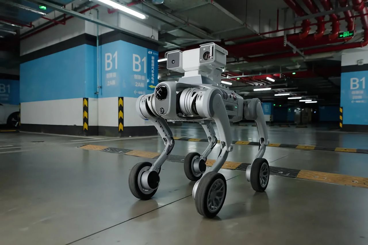 Pudu visar upp robothunden D5