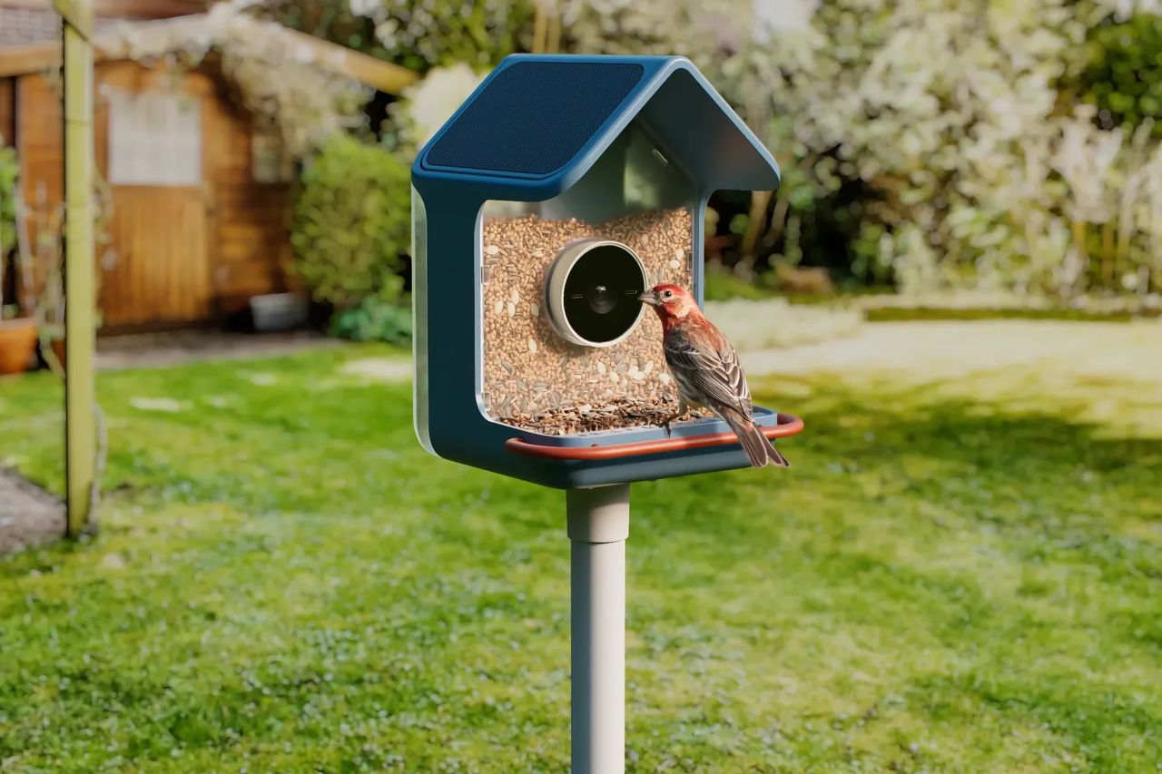 Birdbuddy släpper två nya smarta fågelbord
