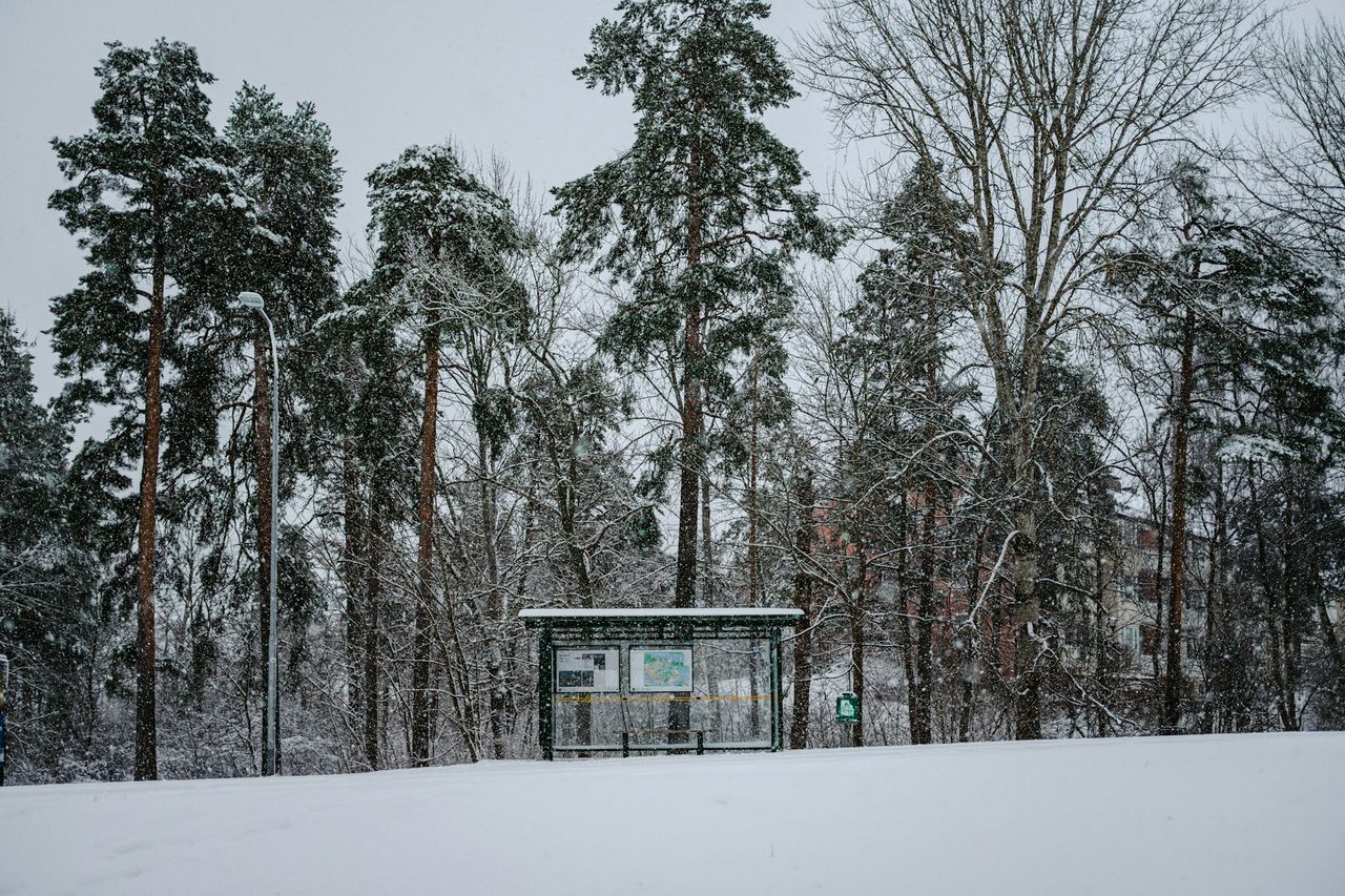Snökaoset blir dyrt för kollektivtrafiken