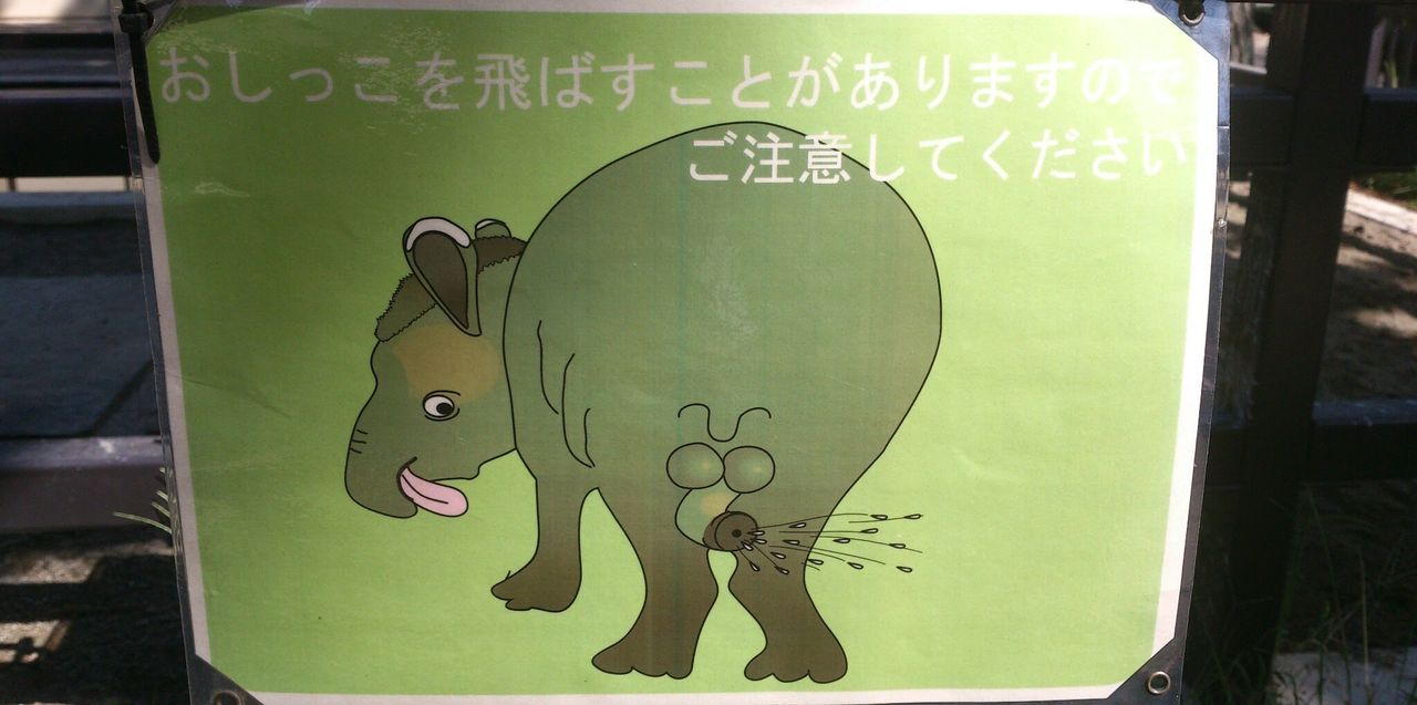 ChatGPT har fått en egen översättningstjänst