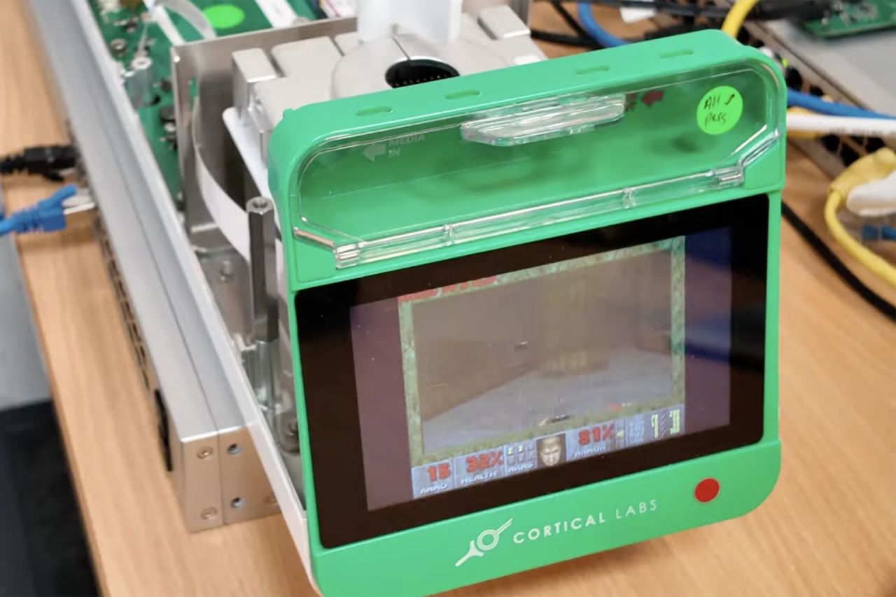 Kolla in när hjärnceller spelar Doom