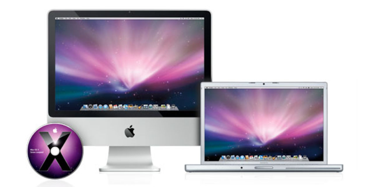 Snöleoparden handlar om grundbygge