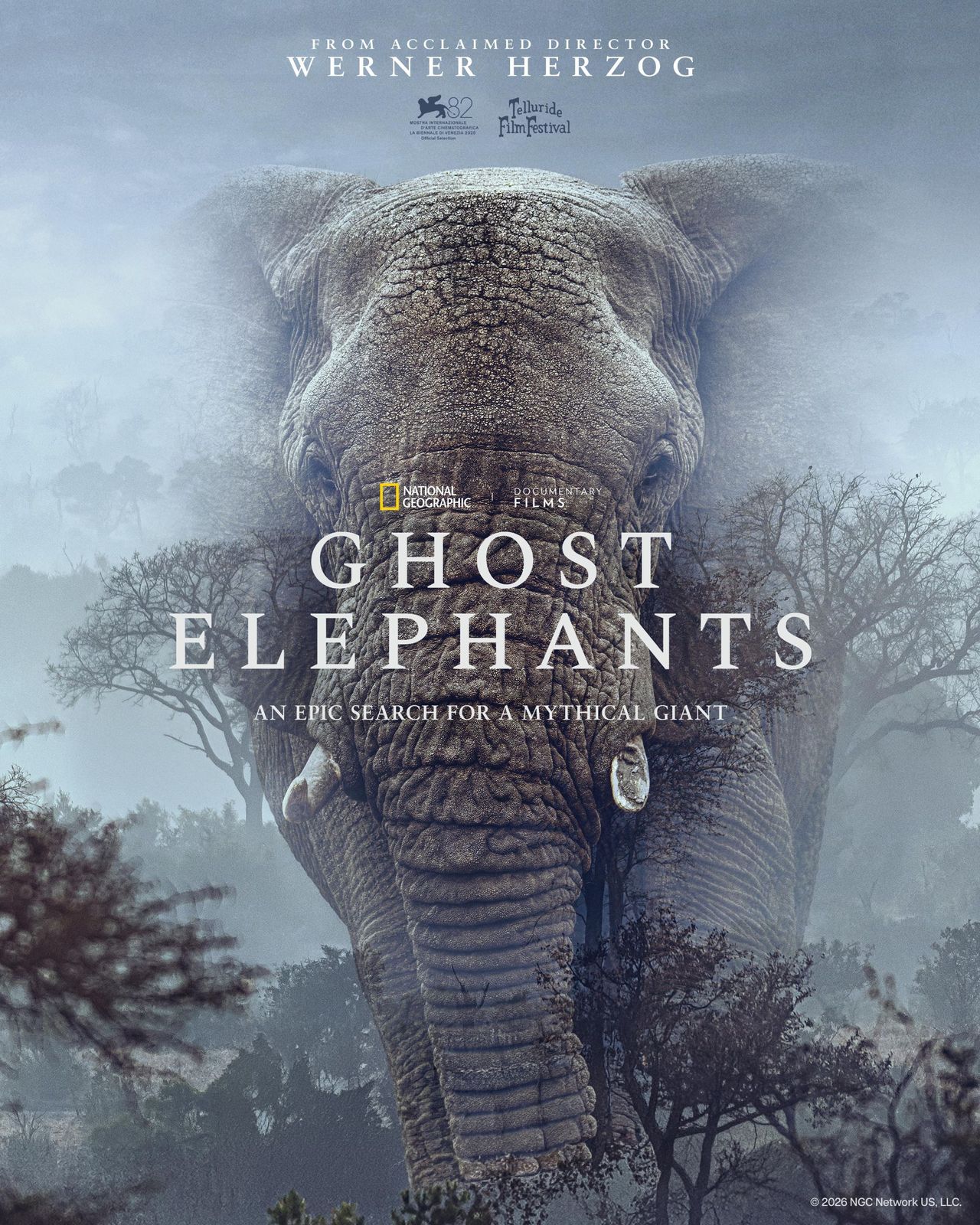 Werner Herzog letar efter jätteelefanter i ny dokumentär