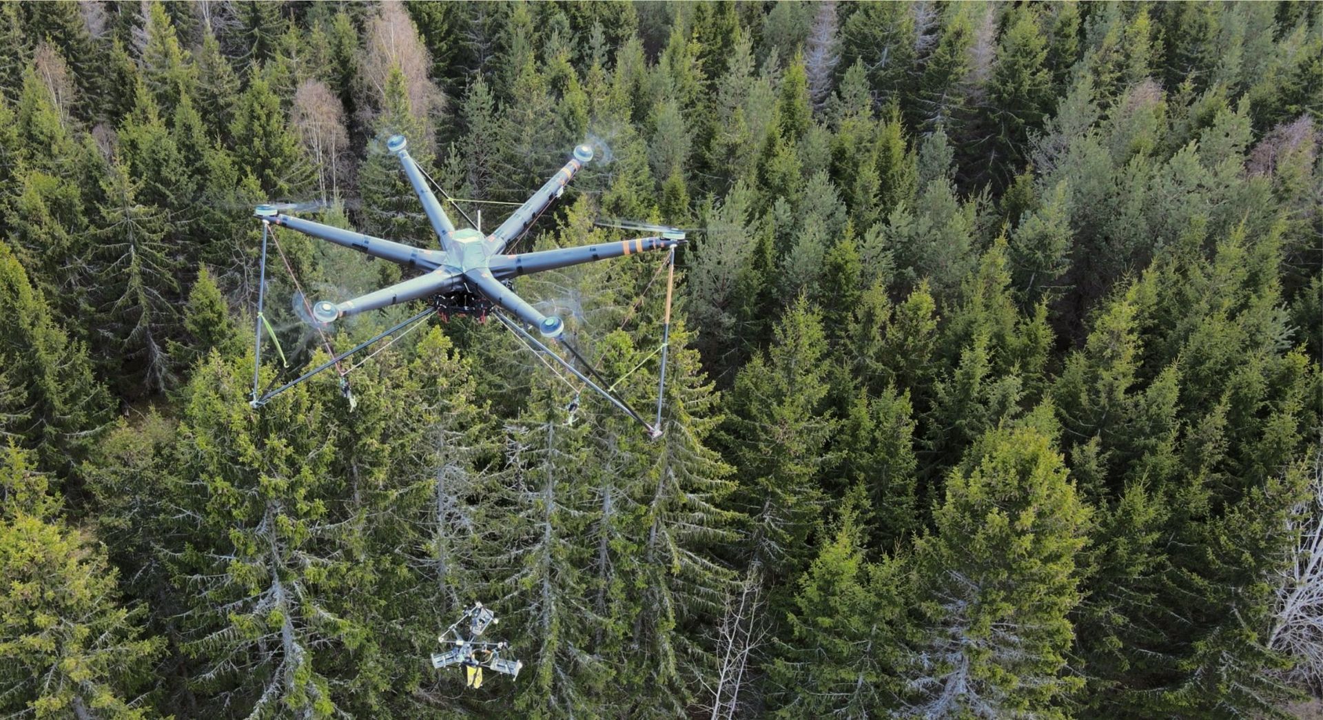 AirForestry kommer börja gallra skog med jättedrönare
