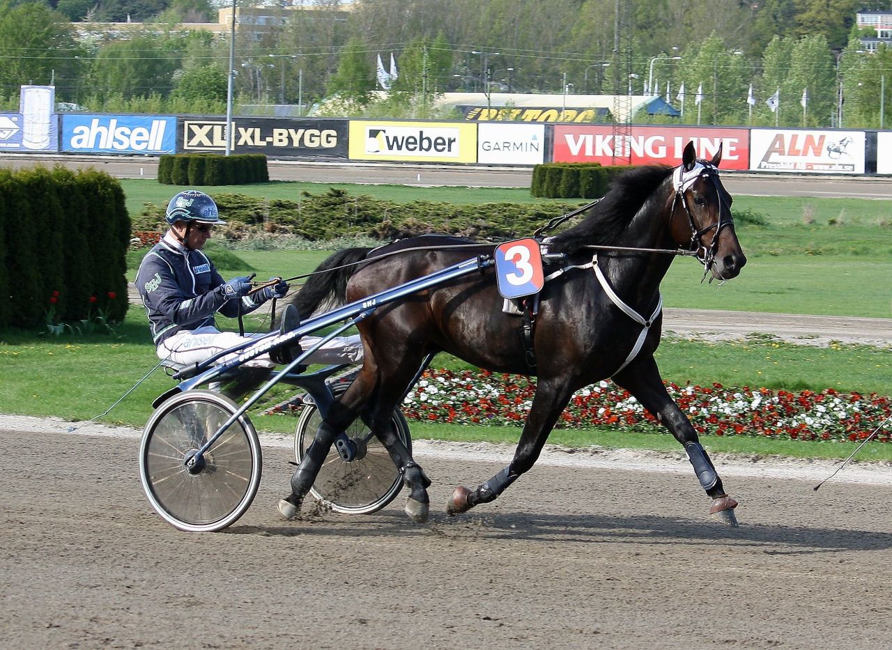 Personuppgifter från ATG har läckt ut på darknet