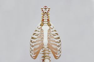 Tumnagel