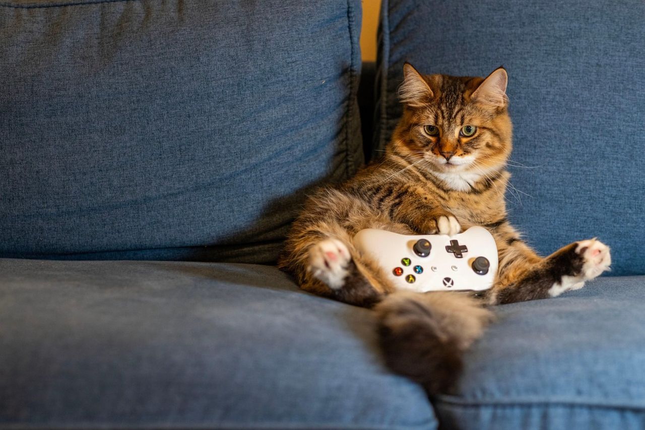 Köper du nya spel till fullpris?