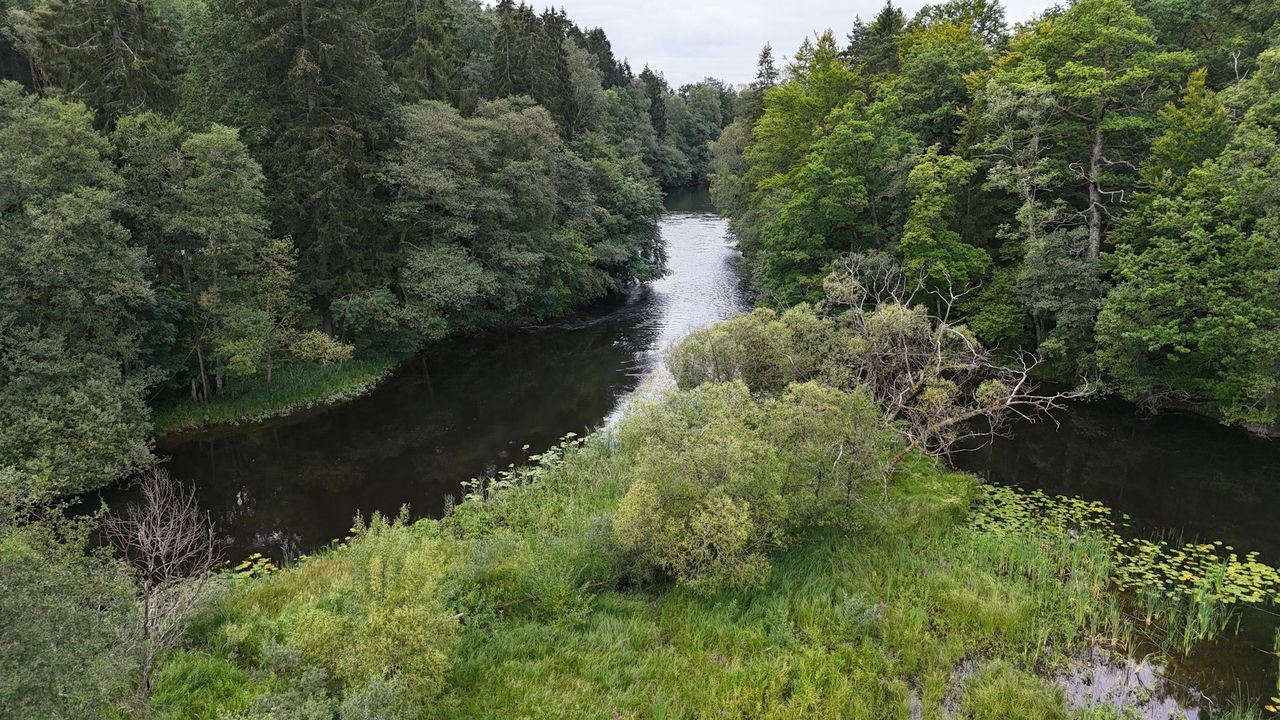 Glöm älgarna snart kommer fiskarna till slow-tv