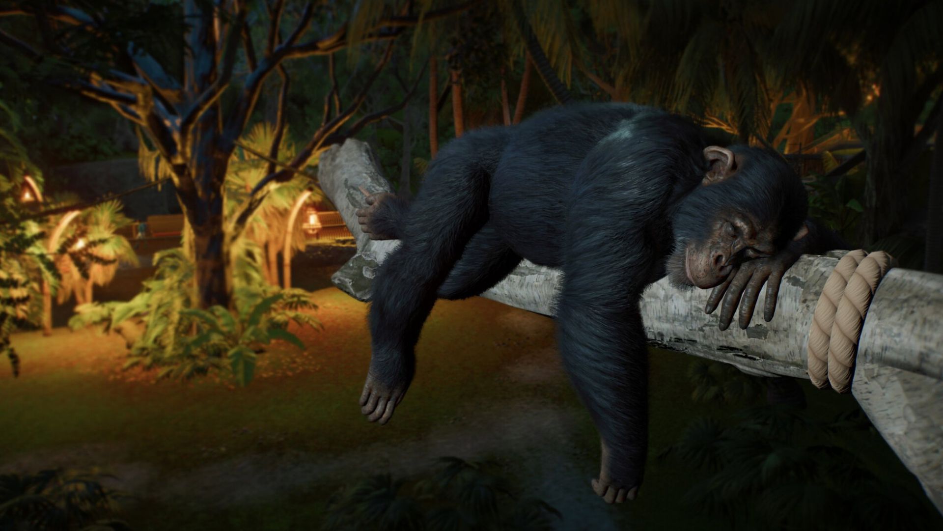 Planet Zoo får en uppföljare