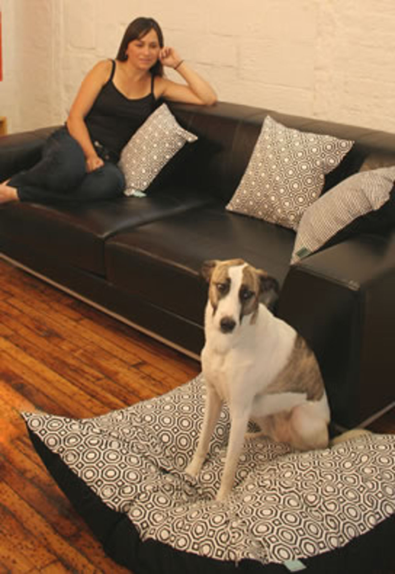 Skön säng till människans bästa vän