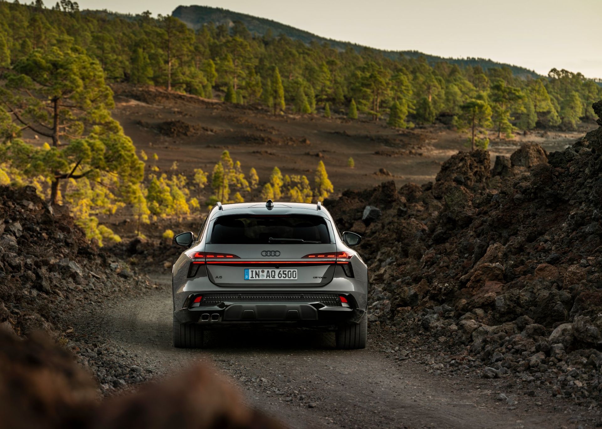 Ut bland stockar och sten med nya Audi A6 Allroad 