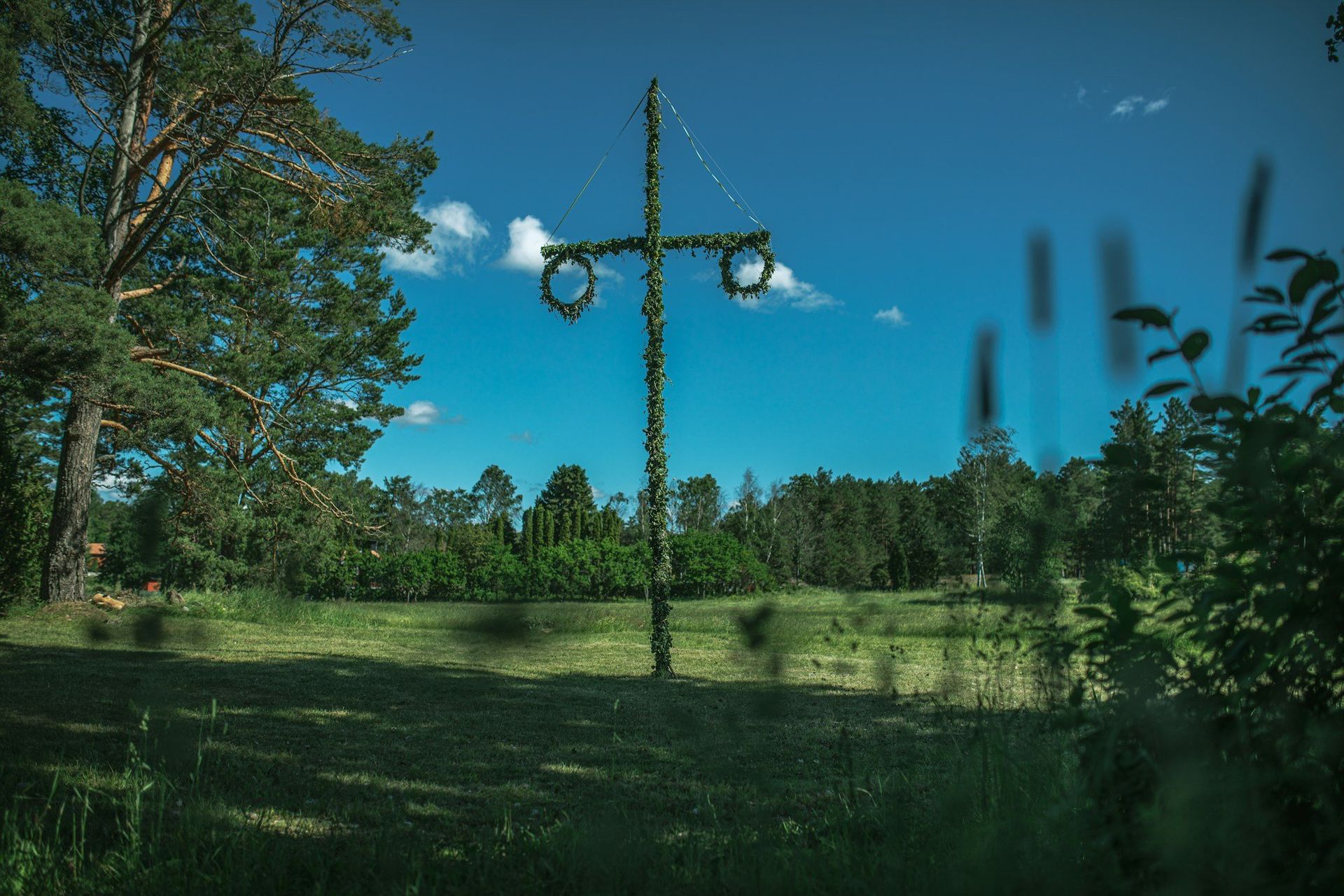 Hur ska du fira midsommar?