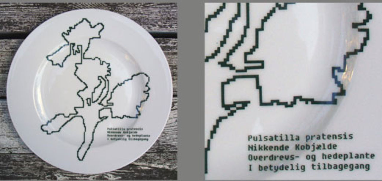 Tallrikar med politiska budskap