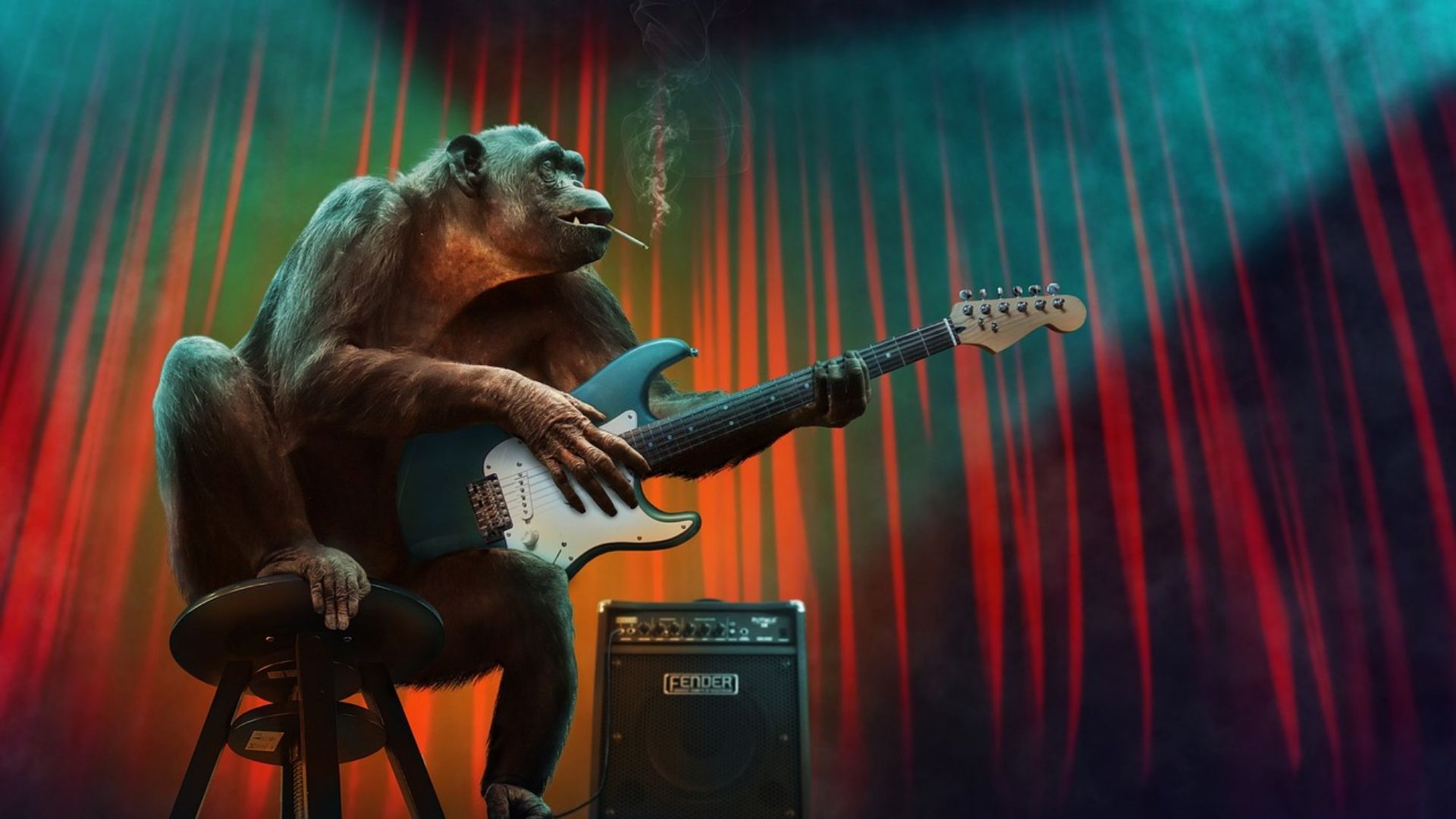 Kan du spela gitarr?