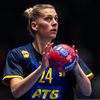Bild till bildspel