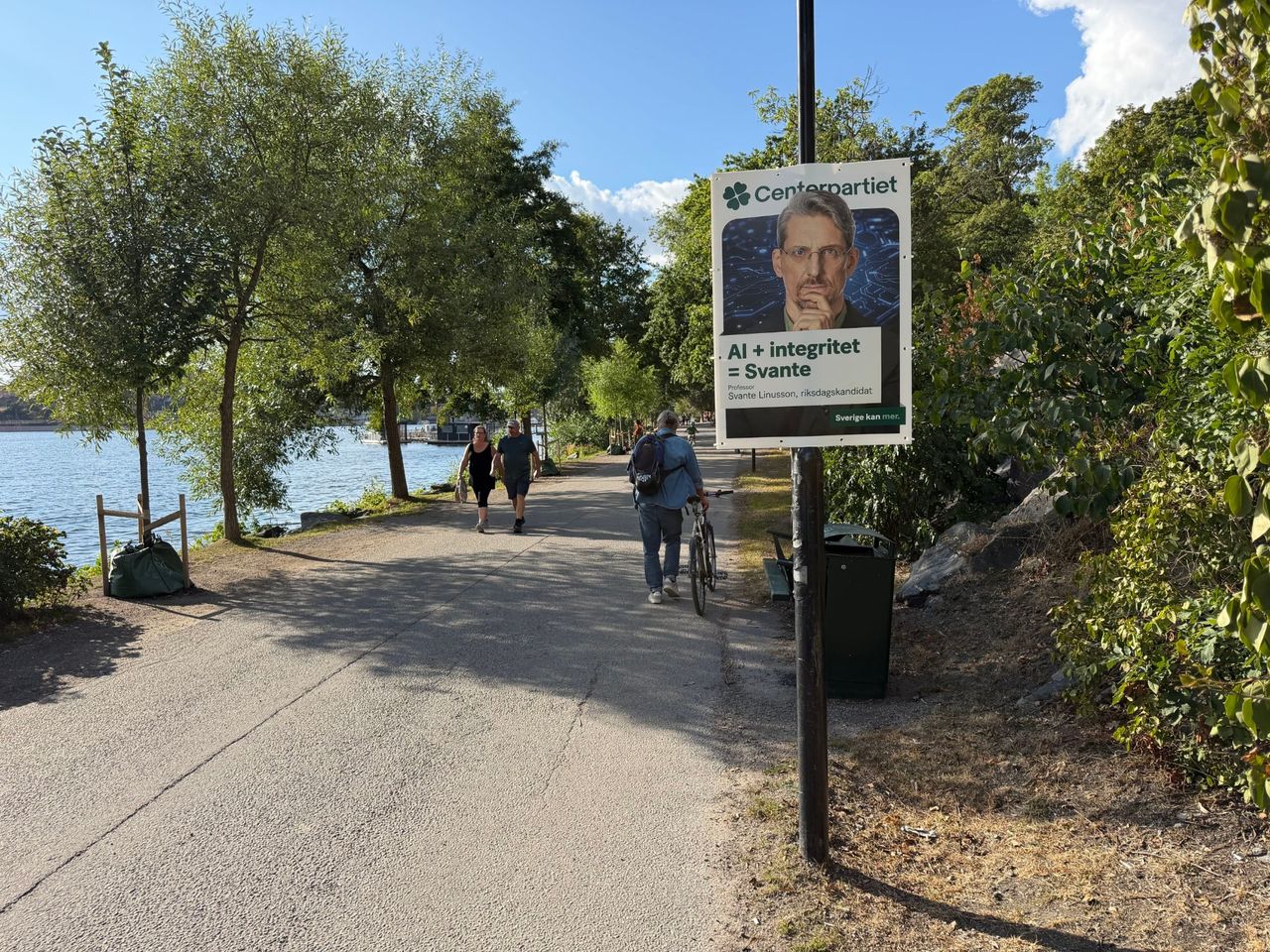Vad uppmärksammar du mest när du ser en valaffisch?