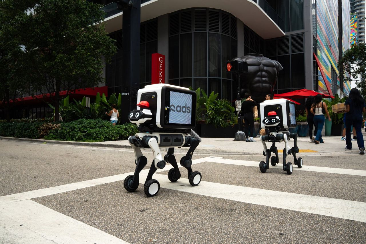 R-Dog är en rullande leveransrobot