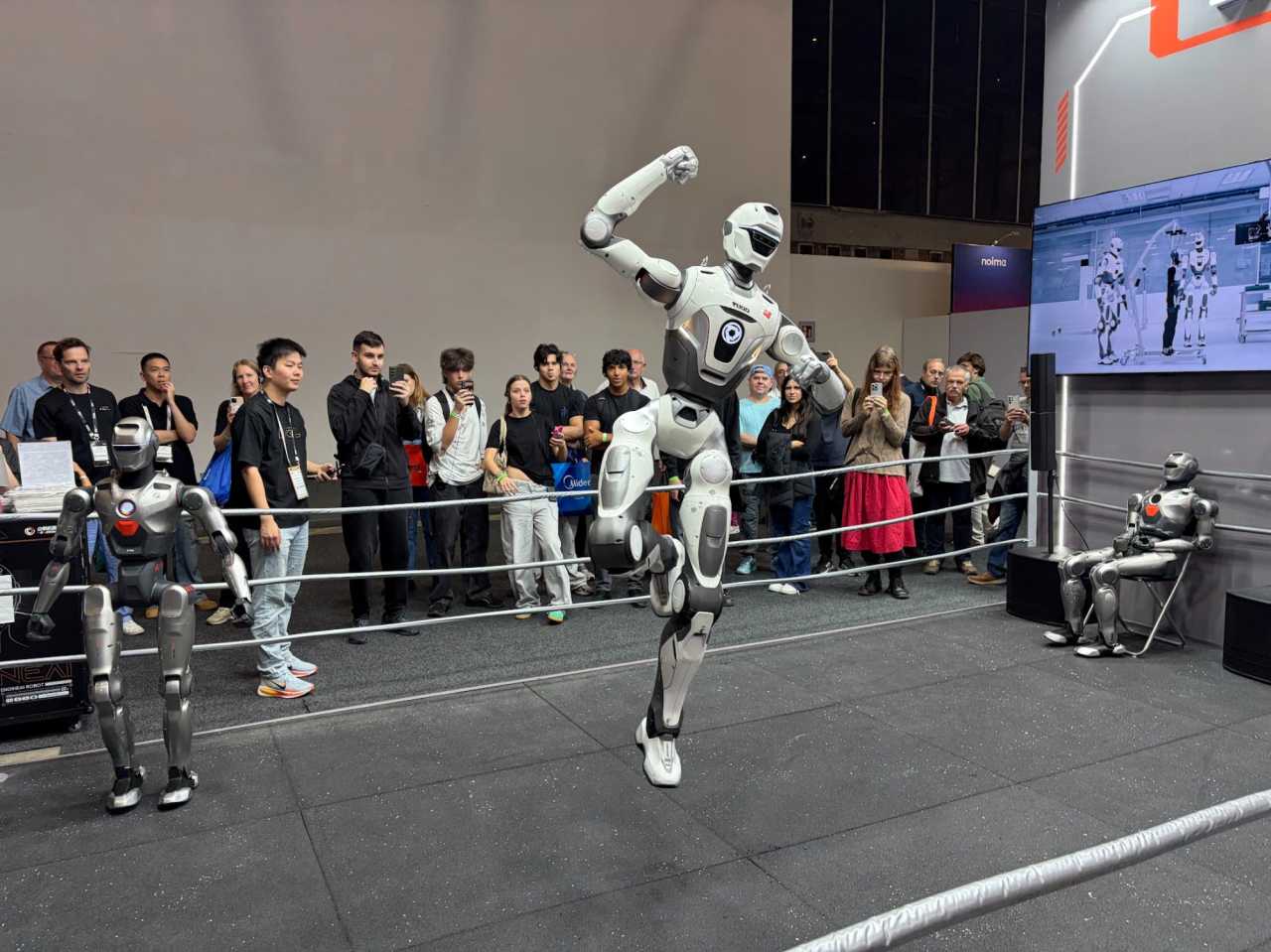 Det dröjer ett tag innan robotar tar över våra hushåll