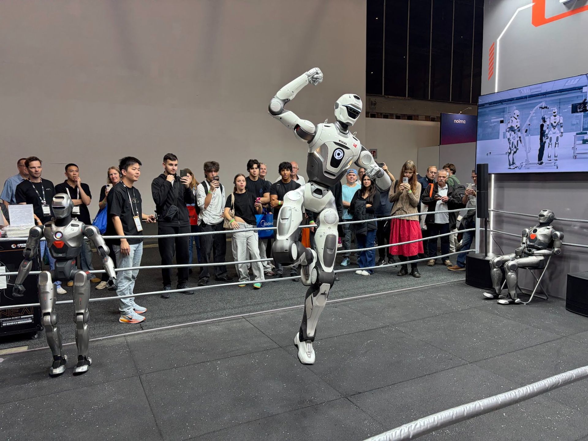 Det dröjer ett tag innan robotar tar över våra hushåll
