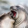 Bild till bildspel